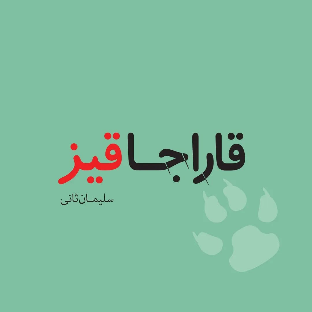 قاراجا قیز (کتاب نوجوان ترکی)